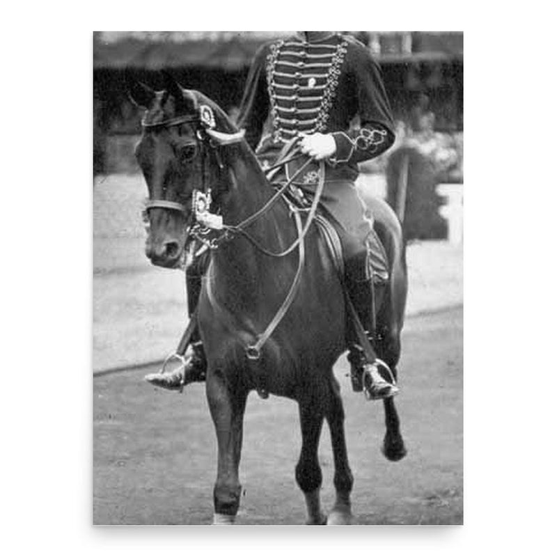 Axel Nordlander poster print, in size 18x24 inches.