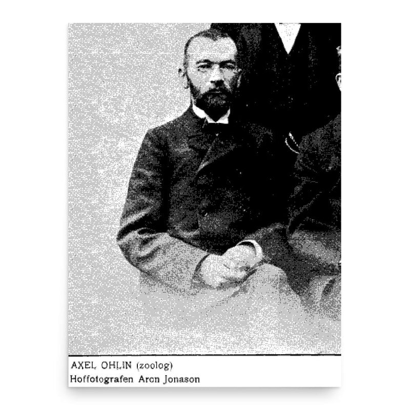 Axel Ohlin poster print, in size 18x24 inches.