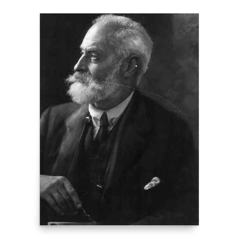 Aylmer and Louise Maude poster print, in size 18x24 inches.