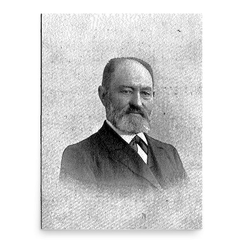 Baard Iversen poster print, in size 18x24 inches.