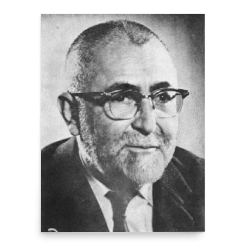 Badiozzaman Forouzanfar poster print, in size 18x24 inches.