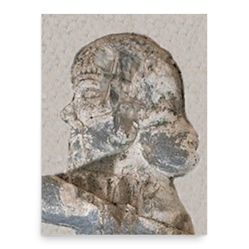 Bardiya poster print, in size 18x24 inches.