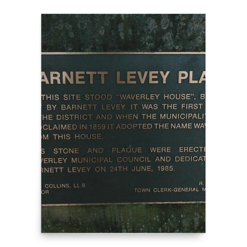 Barnett Levey poster print, in size 18x24 inches.