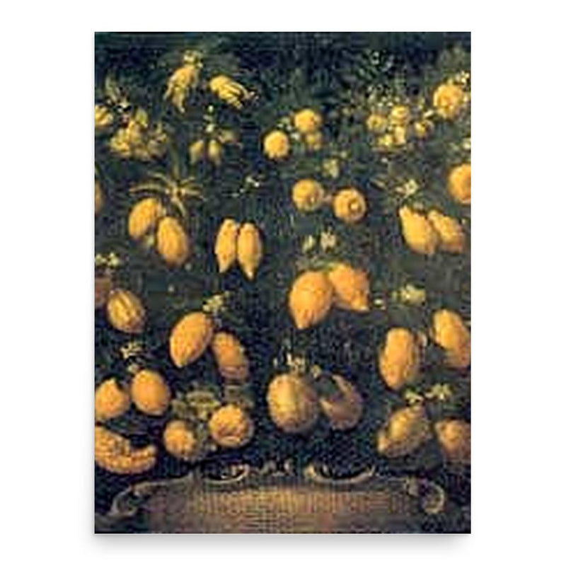 Bartolomeo Bimbi poster print, in size 18x24 inches.