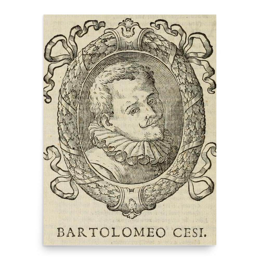 Bartolomeo Cesi poster print, in size 18x24 inches.