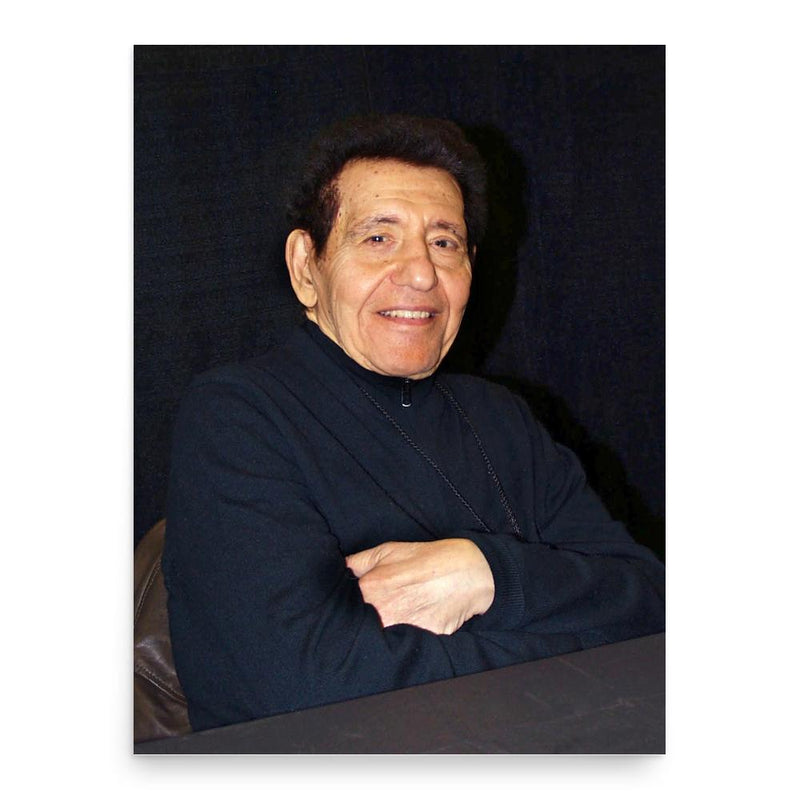 Basil Gogos poster print, in size 18x24 inches.