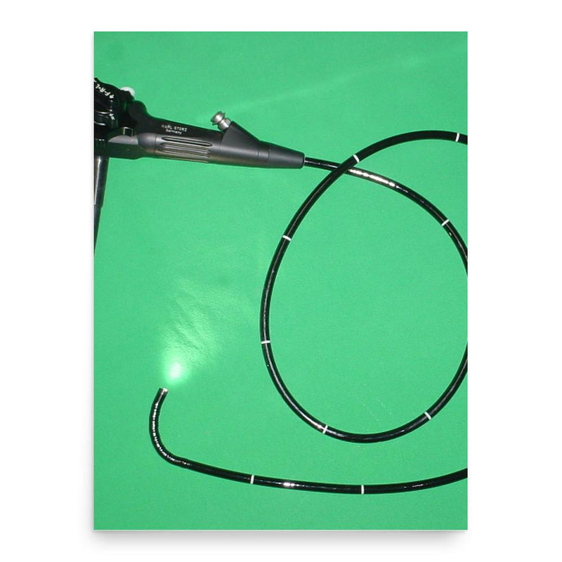 Basil Hirschowitz poster print, in size 18x24 inches.