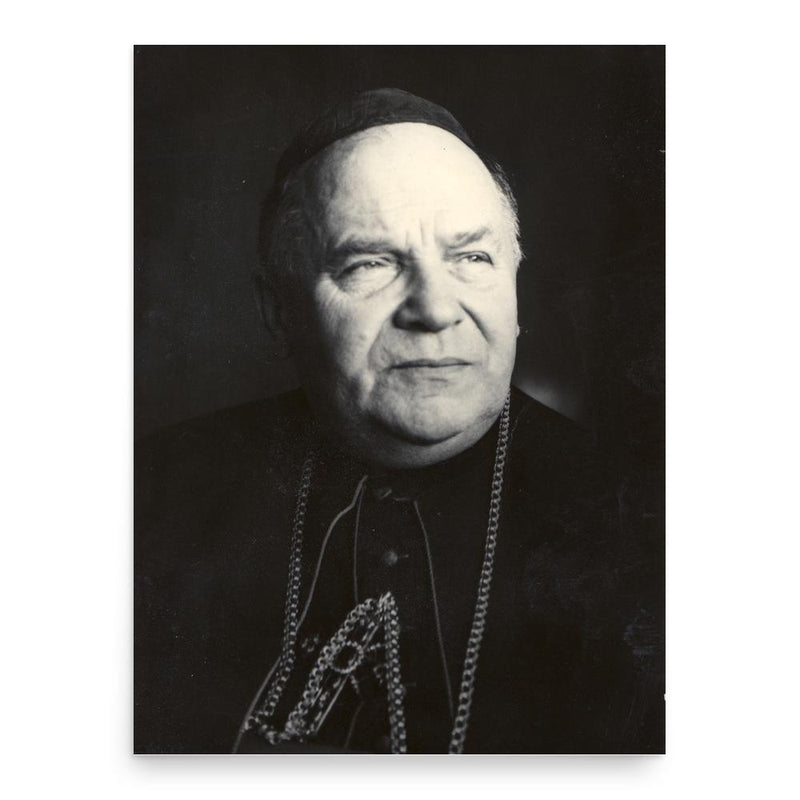Basil Hopko poster print, in size 18x24 inches.