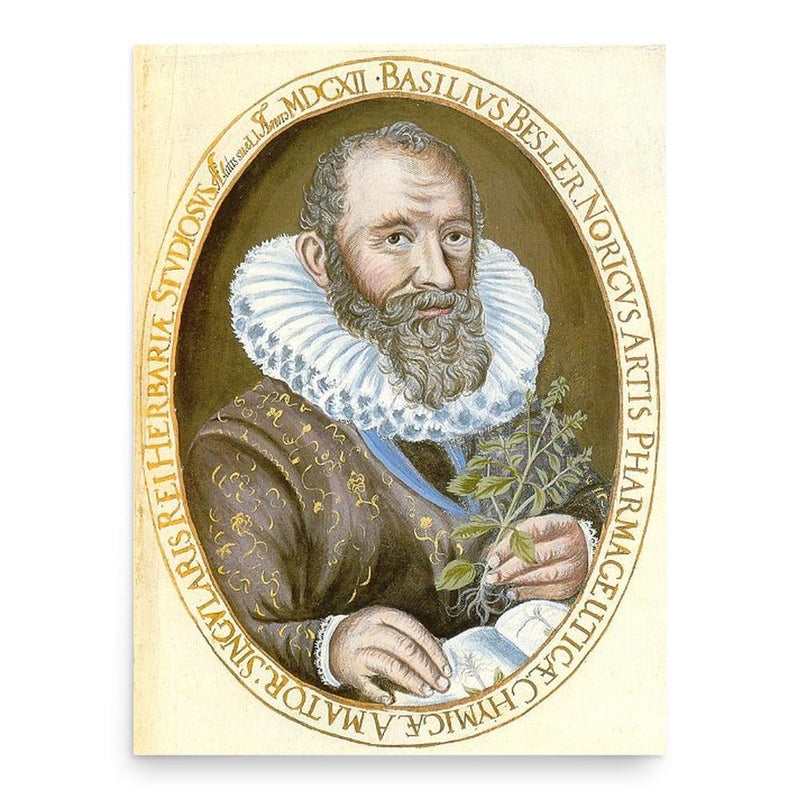 Basilius Besler poster print, in size 18x24 inches.