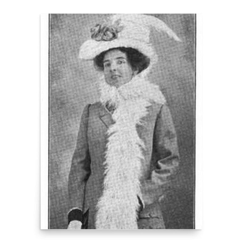 Bell Elliott Palmer poster print, in size 18x24 inches.