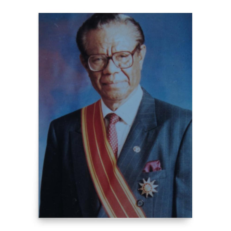 Ben Mang Reng Say poster print, in size 18x24 inches.