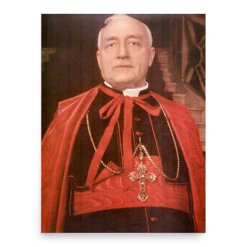 Benedetto Aloisi Masella poster print, in size 18x24 inches.