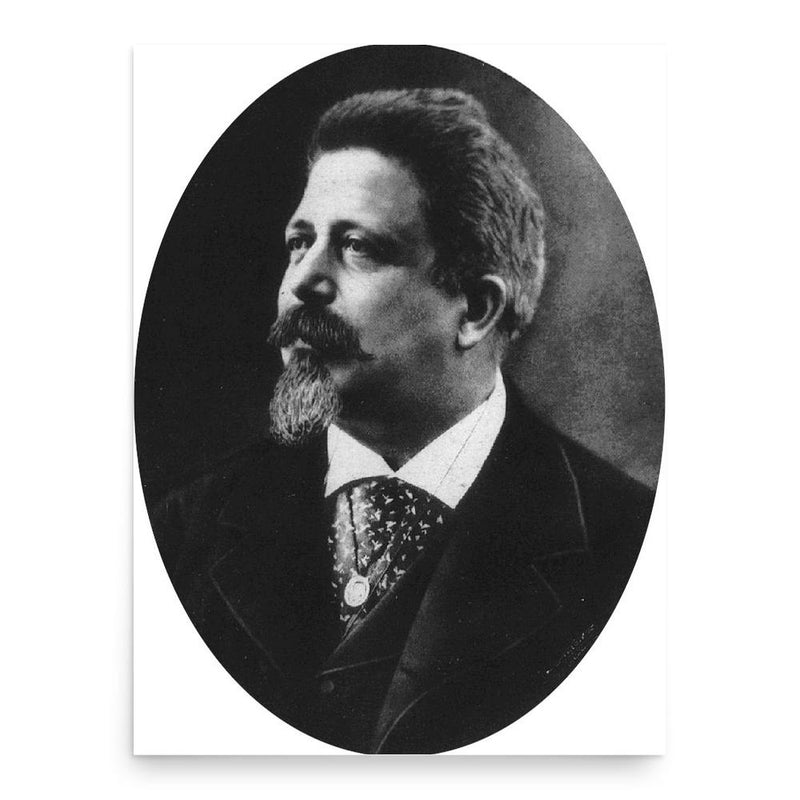 Benedetto Cairoli poster print, in size 18x24 inches.