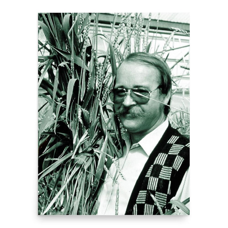 Bent Skovmand poster print, in size 18x24 inches.