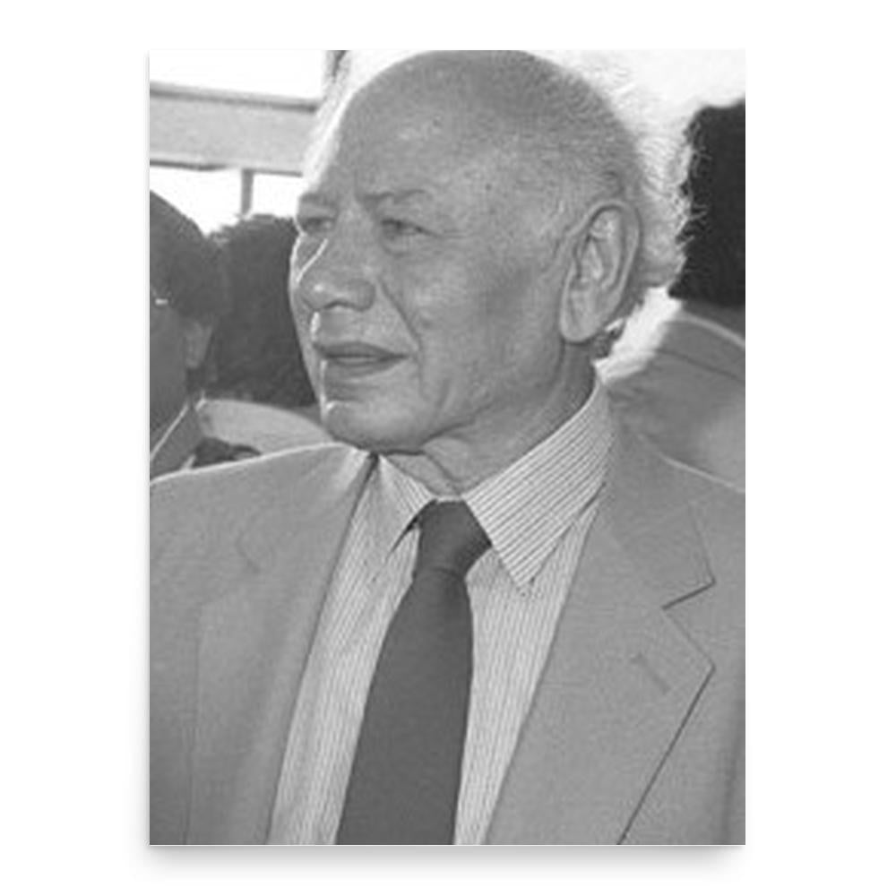 Benzion Netanyahu Poster Print — Museum-Quality 18"x24" – Noveltees