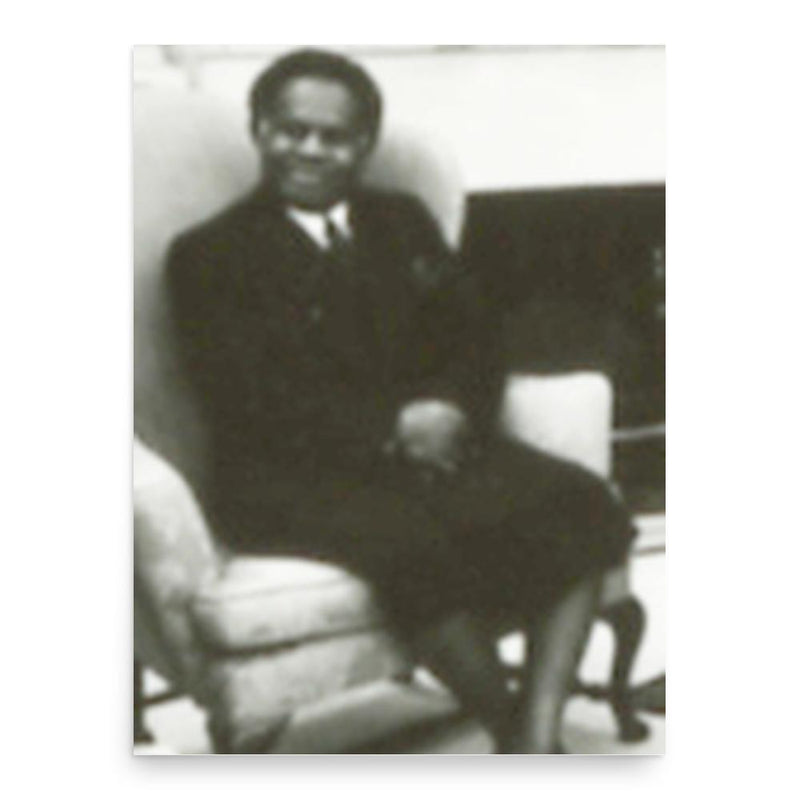 Berenado Vunibobo poster print, in size 18x24 inches.