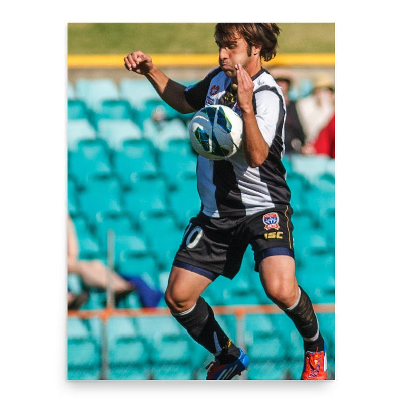 Bernardo Ribeiro poster print, in size 18x24 inches.