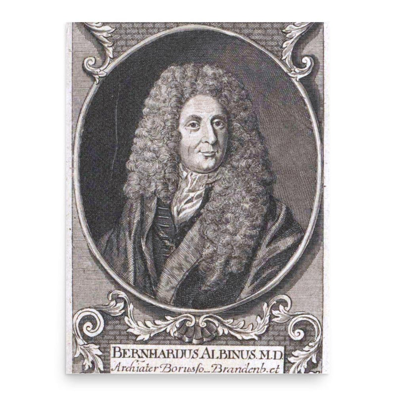 Bernhardus Albinus poster print, in size 18x24 inches.
