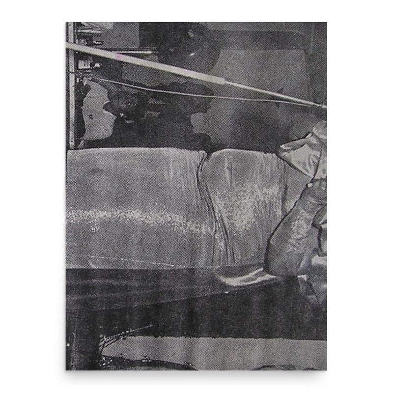 Big Maybelle poster print, in size 18x24 inches.
