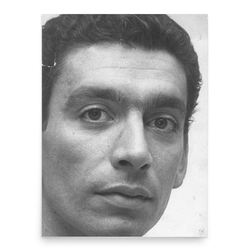 Bijan Mofid poster print, in size 18x24 inches.