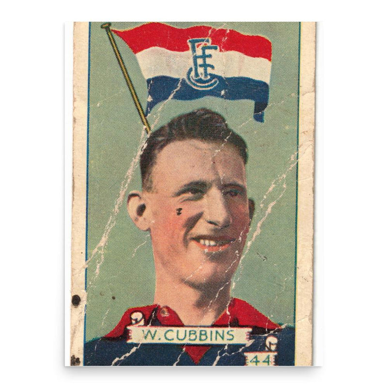 Bill Cubbins poster print, in size 18x24 inches.