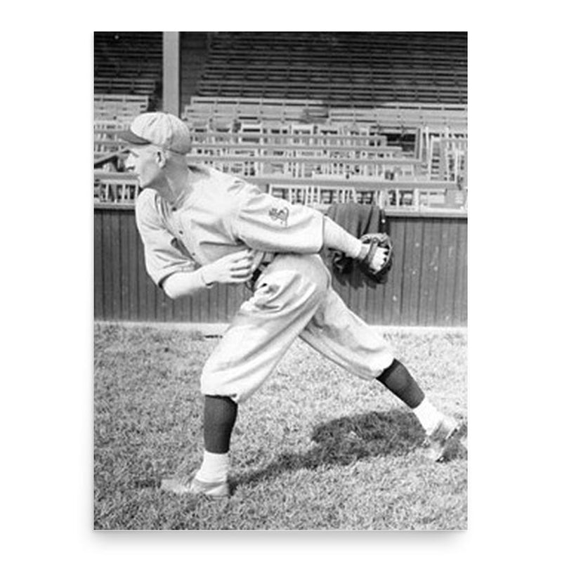 Bill Doak poster print, in size 18x24 inches.