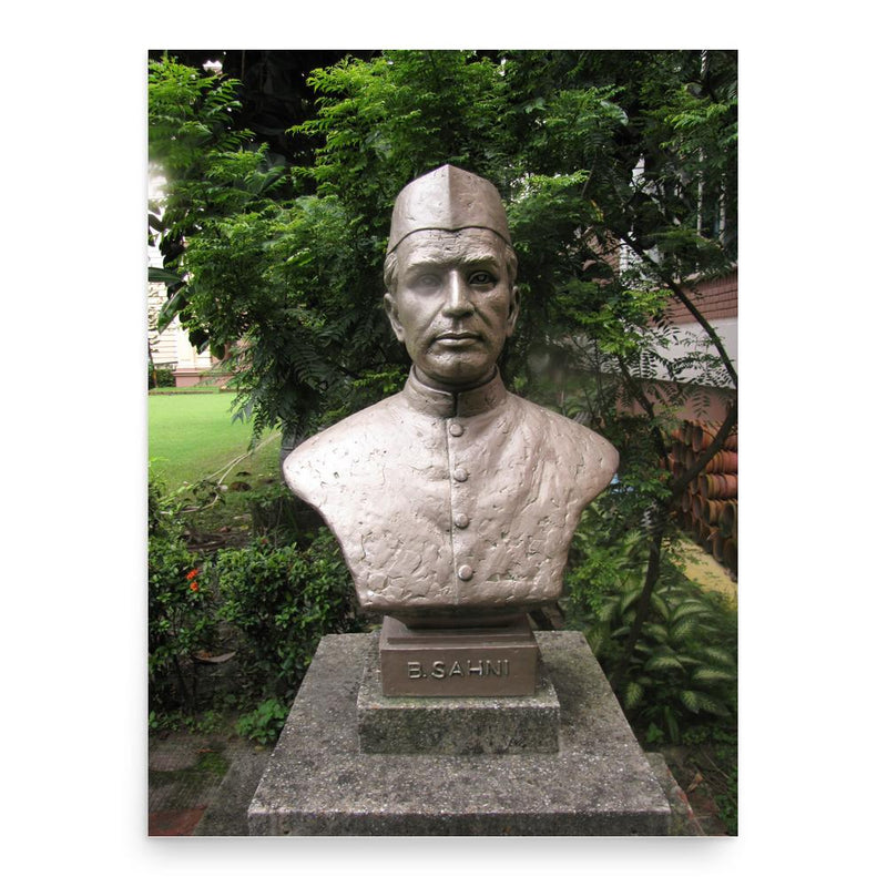 Birbal Sahni poster print, in size 18x24 inches.