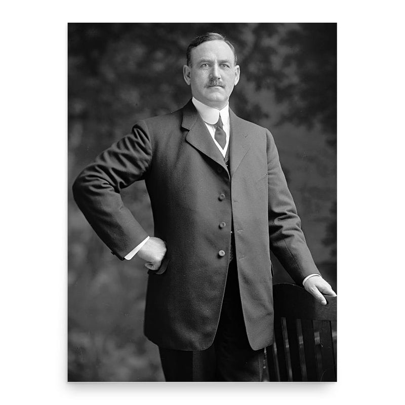 Bird Segle McGuire poster print, in size 18x24 inches.