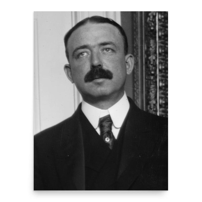 Bird Sim Coler poster print, in size 18x24 inches.