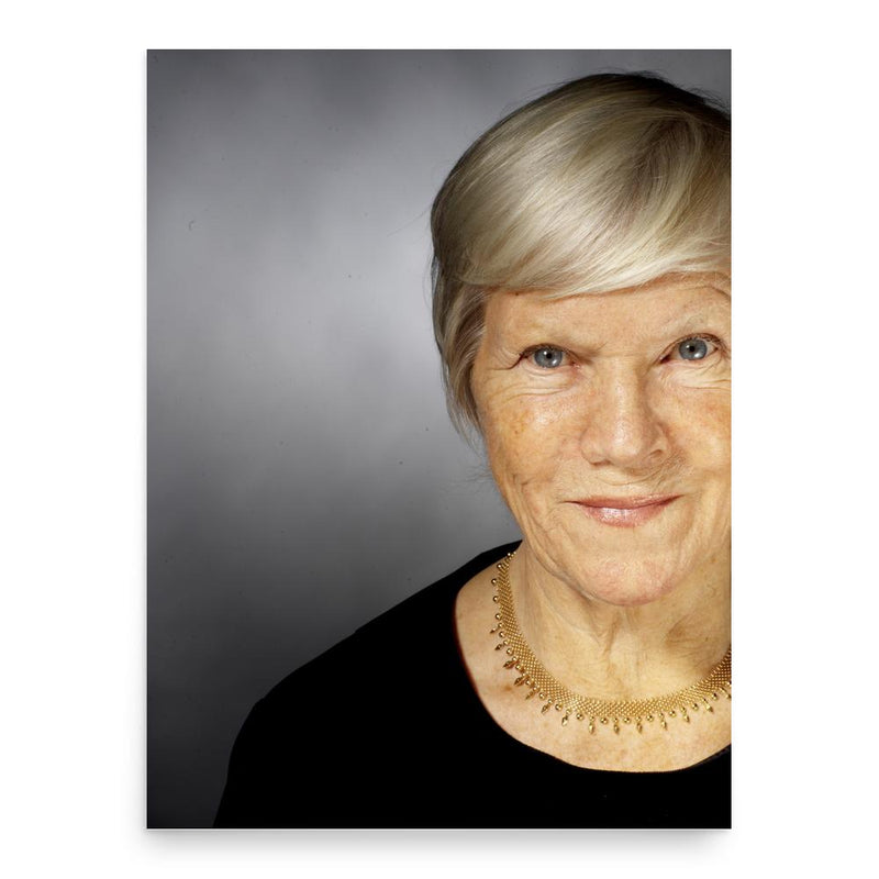 Birgitta Stenberg poster print, in size 18x24 inches.