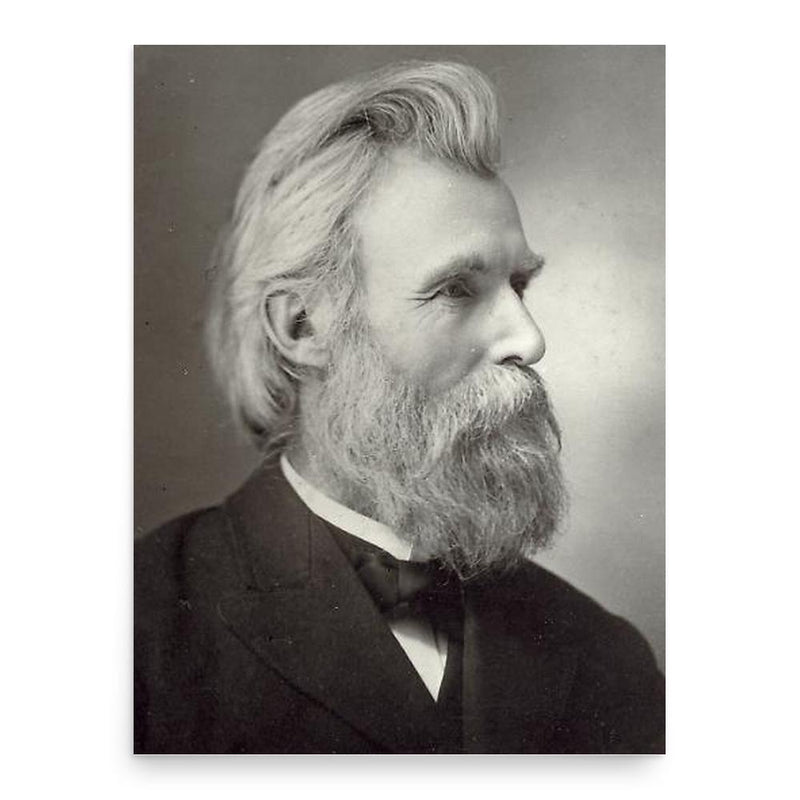 Bjug Harstad poster print, in size 18x24 inches.