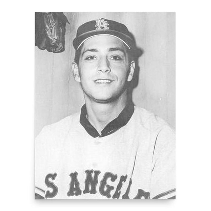 Bo Belinsky poster print, in size 18x24 inches.