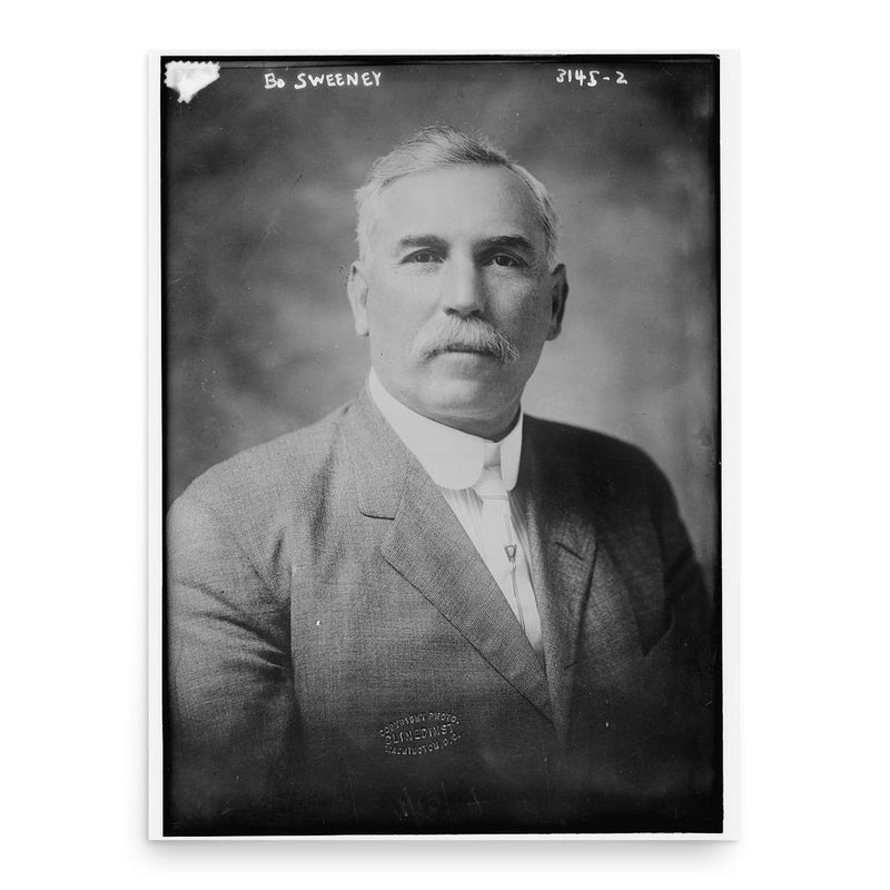 Bo Sweeney poster print, in size 18x24 inches.