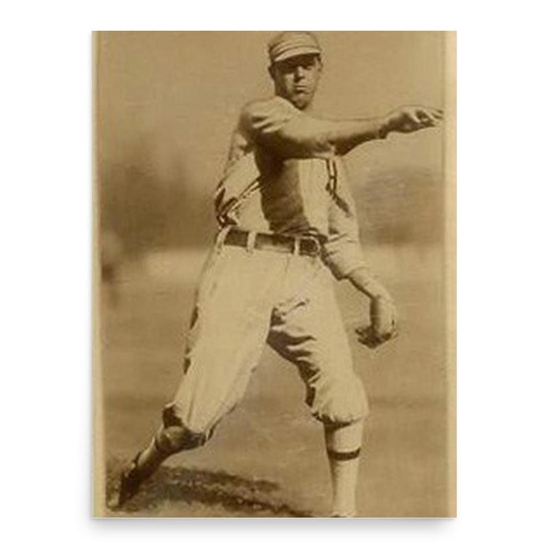 Boardwalk Brown poster print, in size 18x24 inches.