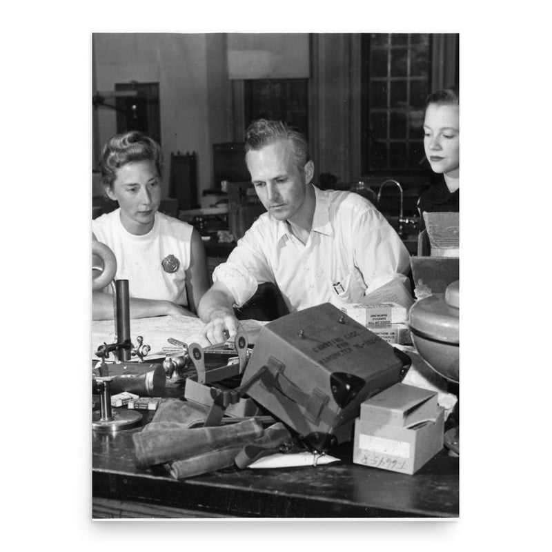 Bodil Schmidt-Nielsen poster print, in size 18x24 inches.