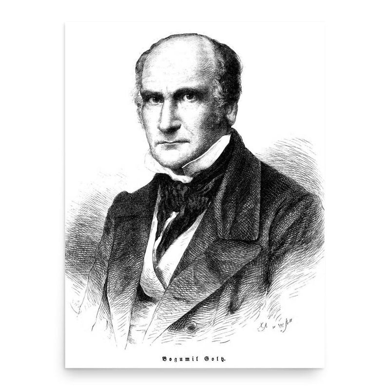 Bogumil Goltz poster print, in size 18x24 inches.