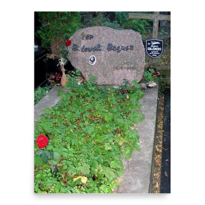 Bogusz Bilewski poster print, in size 18x24 inches.