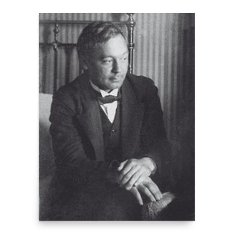 Boris Delaunay poster print, in size 18x24 inches.