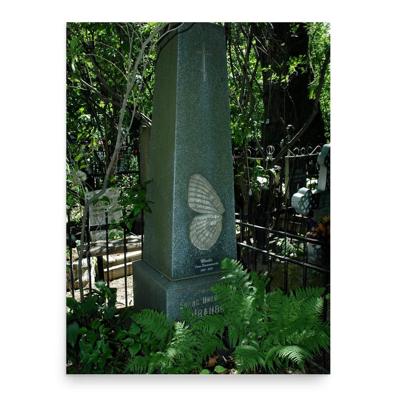 Boris Schwanwitsch poster print, in size 18x24 inches.