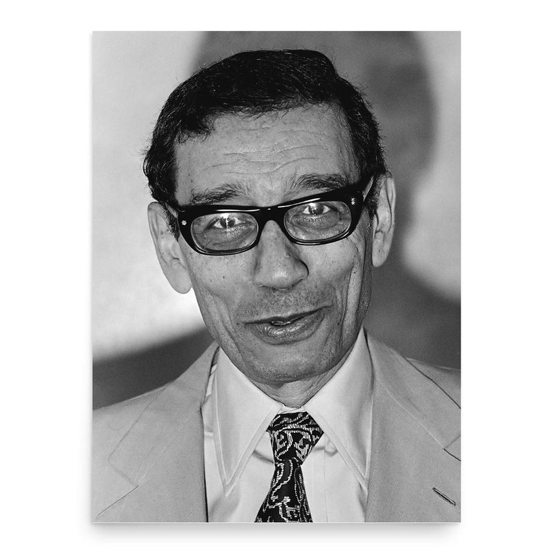 Boutros Boutros-Ghali poster print, in size 18x24 inches.