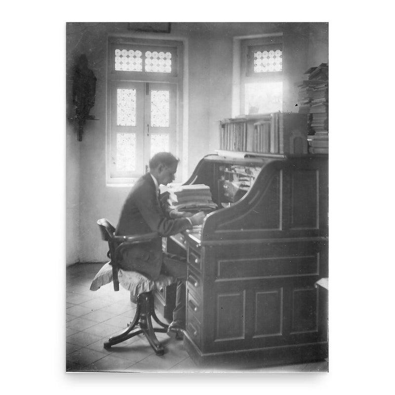 Braz Anthony Fernandes poster print, in size 18x24 inches.