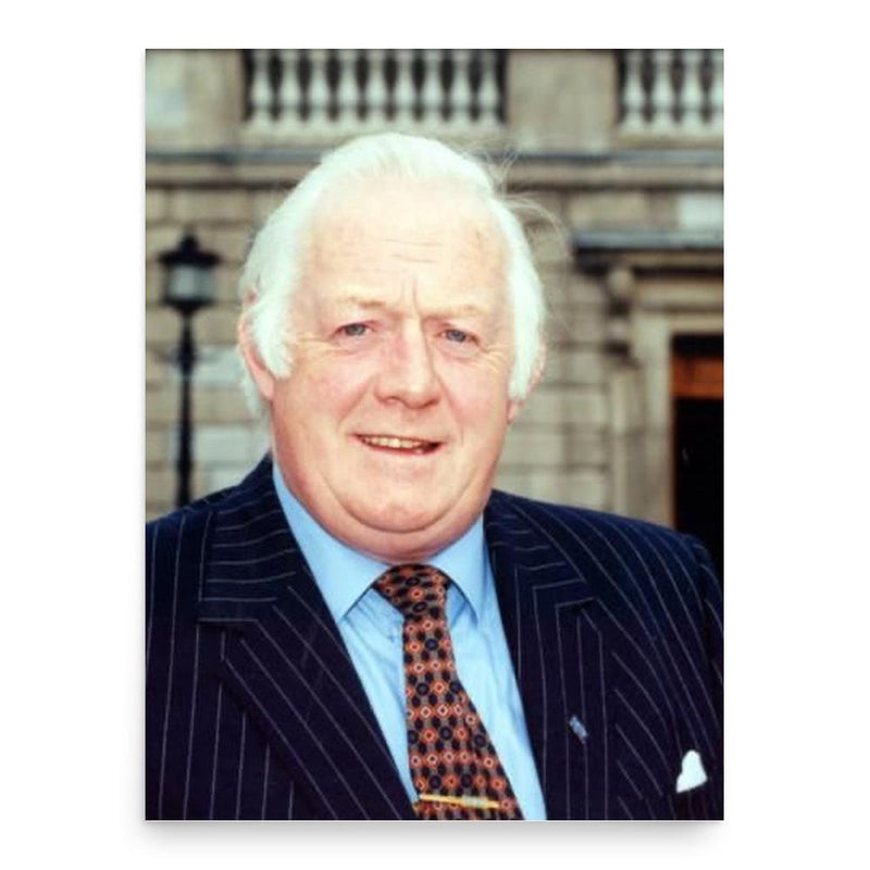 Brendan McGahon poster print, in size 18x24 inches.