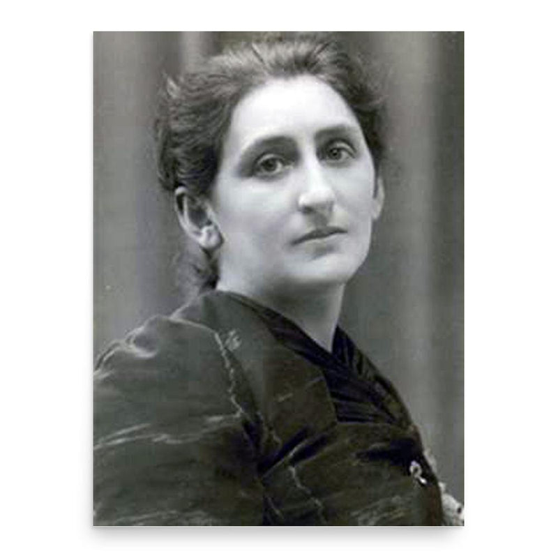 Broncia Koller-Pinell poster print, in size 18x24 inches.