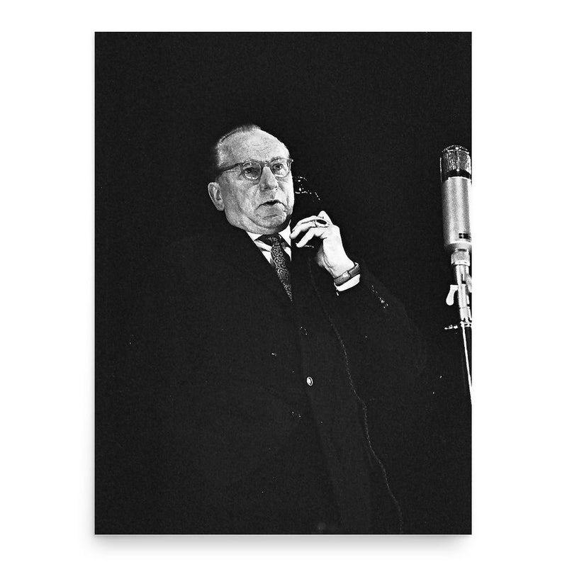 Bruno Fritz poster print, in size 18x24 inches.