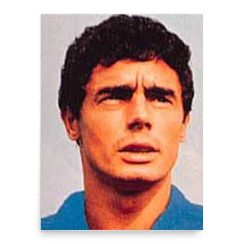 Bruno Mora poster print, in size 18x24 inches.