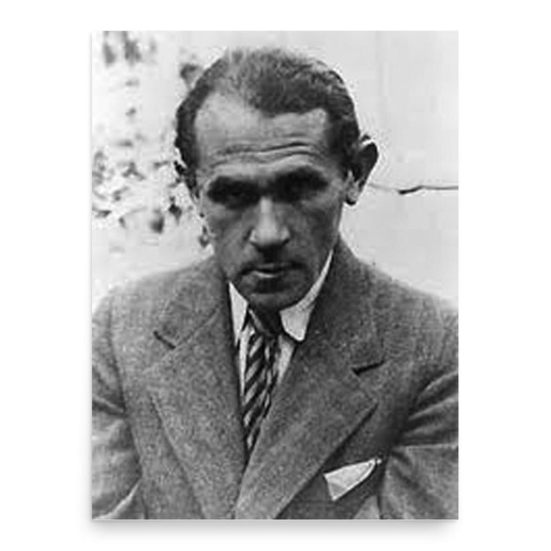 Bruno Schulz poster print, in size 18x24 inches.