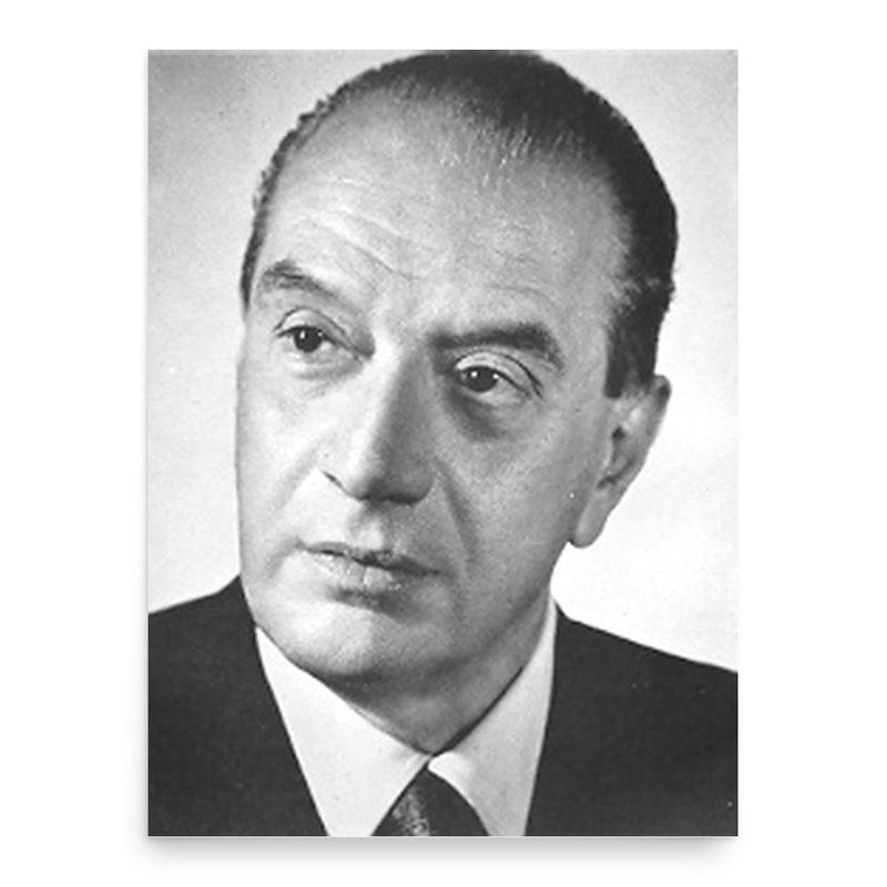 Bruno Visentini poster print, in size 18x24 inches.