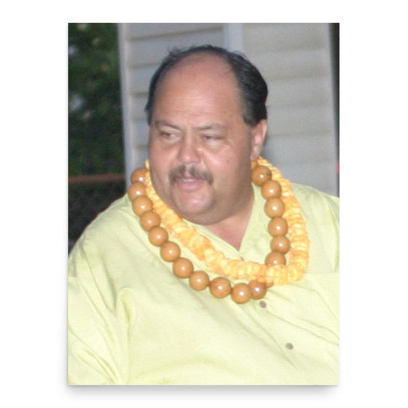 Bryan Baptiste poster print, in size 18x24 inches.