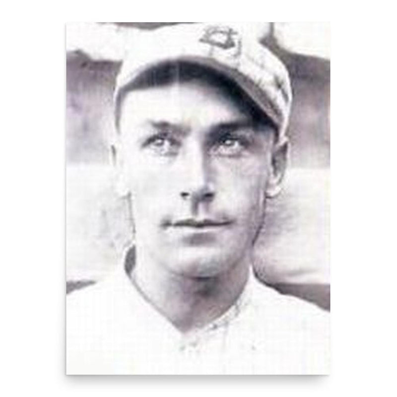 Bunny Fabrique poster print, in size 18x24 inches.