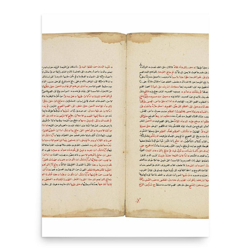 Burhan-ud-din Kermani poster print, in size 18x24 inches.